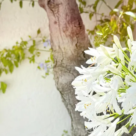 Hotel Blanc Sable 3*