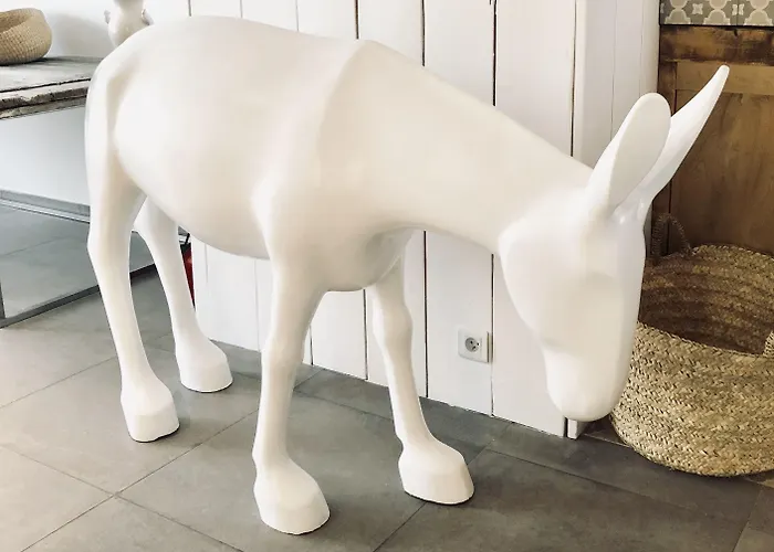 호텔 Blanc Sable 골페주앙